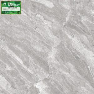 Gạch lát nền Thanh Long