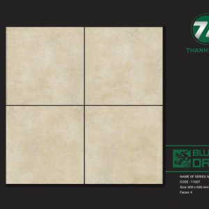 Gạch ốp lát BLUEDRAGON