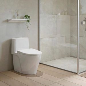 Bồn Cầu INAX AC-989VN (AC989VN) 1 Khối Nắp Êm