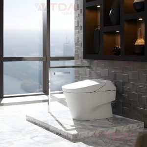 Bồn Cầu Neorest TOTO CW992VA/TCF992WA XH I