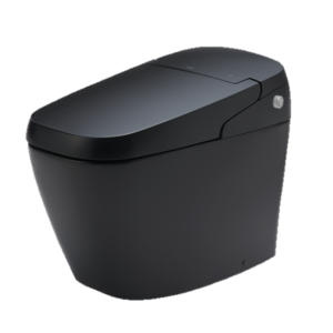 Bồn Cầu Thông Minh INAX AC-G216VN/BKG (ACG216VN) Satis Màu Đen