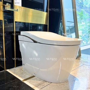 Bồn Cầu Thông Minh TOTO CS911VT/TCF87320GAA/T53P100VR Neorest LS