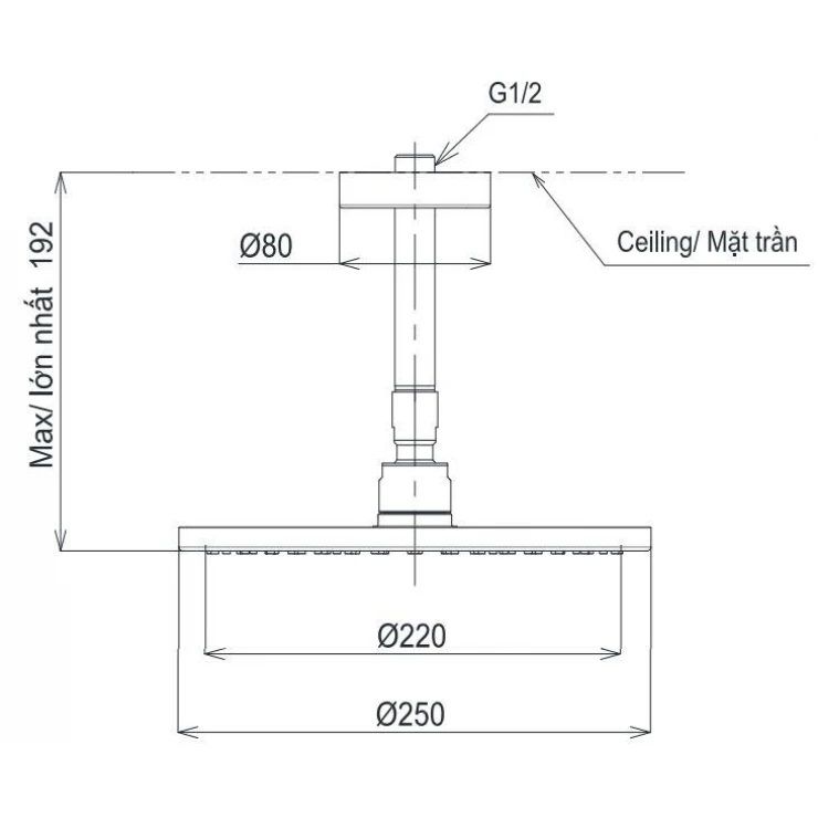 Bản vẽ bát sen tắm TBW 07002A1 MBL TOTO gắn trần 250 mm