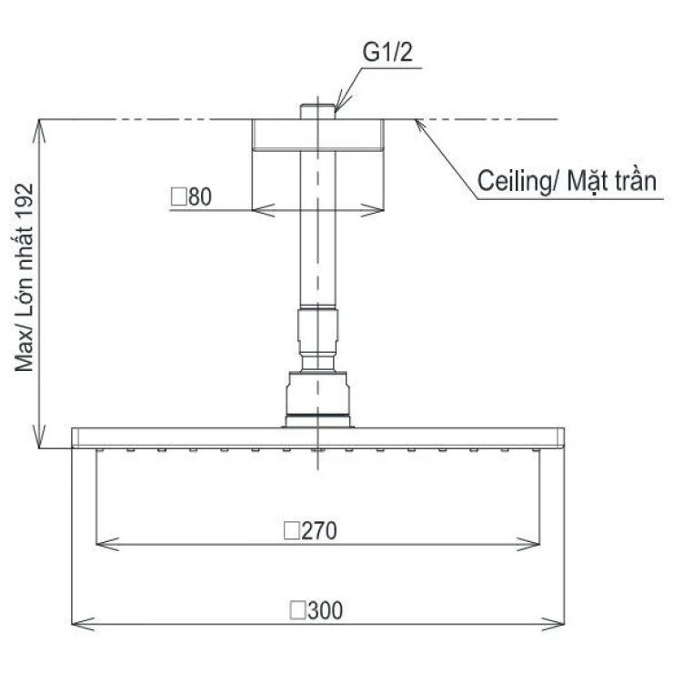 Bản vẽ bát sen tắm TBW 08003A1 MBL TOTO gắn trần 300 mm