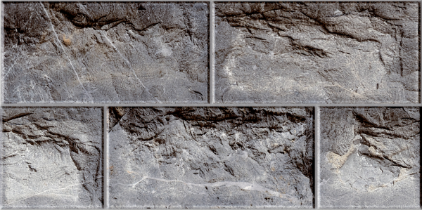 GẠCH (25×50) TRANG TRÍ