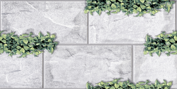 GẠCH (25×50) TRANG TRÍ