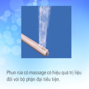 Nắp Điện Tử INAX CW-KB22AVN (CWKB22AVN) Shower Toilet